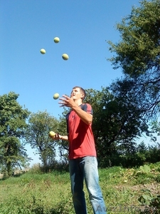 обучение жонглированию. любой возраст #827312