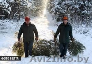 рабочие на деревообрабатывающее предприятие    #819725