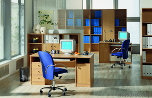 Корпусная и встроенная мебель по индивидуальным проектам #836198