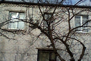 продам дом в гродно или обменяю #836240