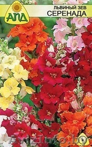 Интернет-магазин Все семена в минске #837781