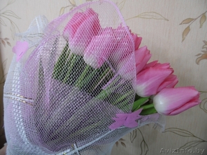 Тюльпаны к 8 марта ))) #161274