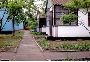 отдых в Коблево на Черном море #851899