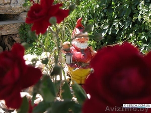  Незабываемый отдых в Крыму #871952