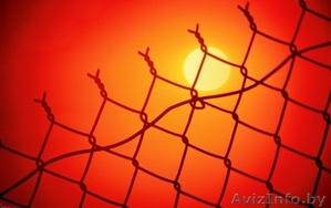 сетка рабица от 138 000! #858829