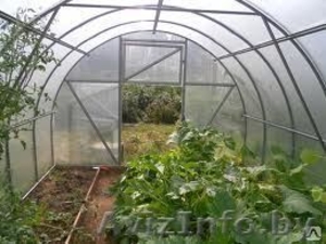 Теплицы из поликарбоната #867799