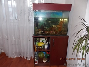 Аквариум с комплектующим #867093