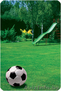 Семена трав: газонные травы,  редька масличная,  горчица,  люпин и др. #660196