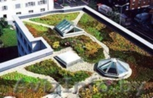 Кровельное озеленение ZINCO #868420