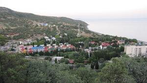 Магнолия-Волга Канака #860070