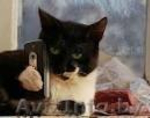  Гомельский интернет-магазин зоотоваров 