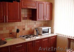 Беловежская пуща  Каменюки    квартира-гостиница  на сутки wi-fi. #863336