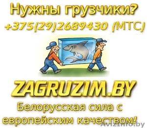 zagruzim.by - лучшие грузчики. Нал! Безнал! #861284