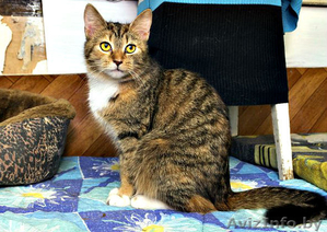 Мэл - красавица в хорошие руки! #855879