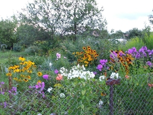 Продам приватизированную дачу (Дрюково) 15 км от города.  #880178