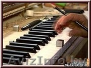 фортепианный настройщик  333253656 #891477