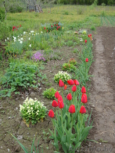  Дачный участок недалеко от Жодино. Срочно #901295