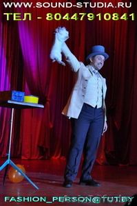 Иллюзионист мистификатор фокусы на детский праздник свадьбу #905802