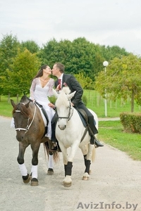 Фотосессия с лошадими в Минске,  Малиновка #898832