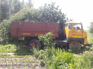 самосвал ифа 50!!!!!!!!!!!!!!!! #921578