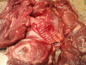 Закупаем говядину блочную безкостную оптом #492584