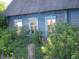Дом в деревне под дачу #910903
