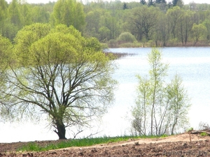 Продается 3-х комнатная квартира в 2 км от Богушевска на берегу озера #932416