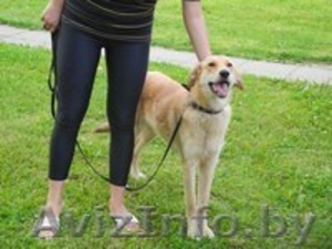 Джессика в добрые руки. #769493