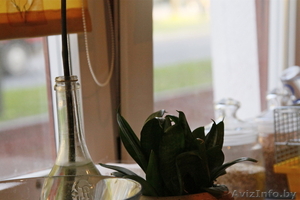 Кавртира-студия с современным ремонтом  на сутки в Кобрине #933262