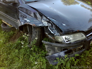 александр 80295223860 #935389