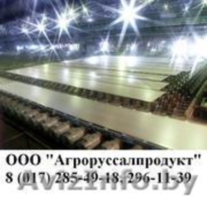 Полный ассортимент металлопроката ООО 