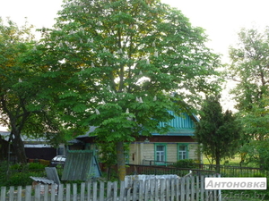 Сдается обжитый дом с землей,  с хоз. постройками,  15 км от Жлобина #939623