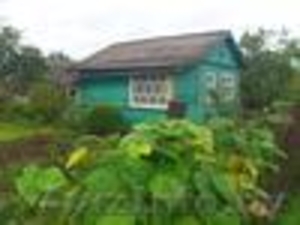 Продается дача в тирасполе #950870