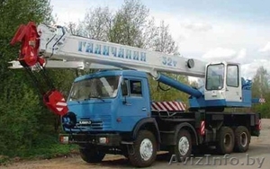 стройтехника в аренду #937859