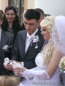 Музыкальное оформление торжеств #937267