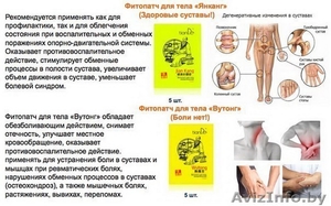 TianDe – источник вашей природной красоты! #941921