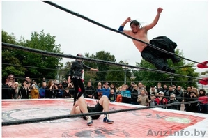 Шоу про-реслинга под Заказ #961679