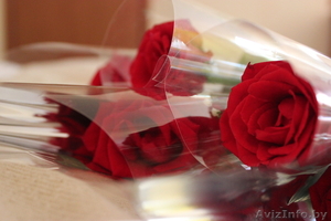 Фото услуги на любые темы фото съёмок #954641