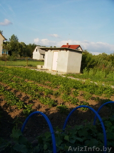 Участок в Казловичах с постройками. #981327