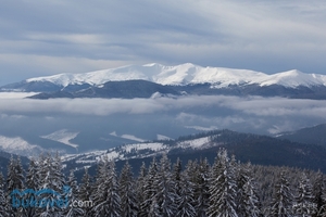 Туристическая компания Ша-тревел предлагает свои услуги #982736