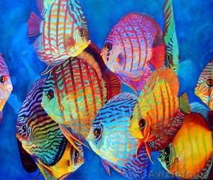 Новые решения в дизайне интерьера #971366