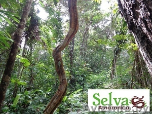 Самое незабываемое путешествие #985044