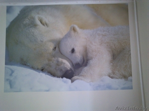 Поклейка обоев                          #981215