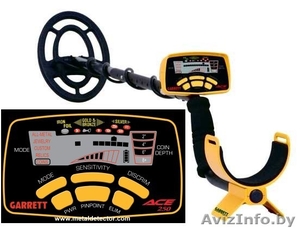 Аренда металлоискателей в Минске #976197