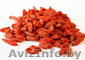 продаю ягоды годжи #973001