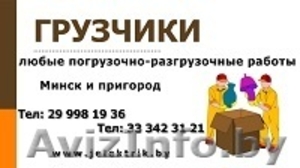 Качественные услуги грузчиков в Минске и пригороде #981281