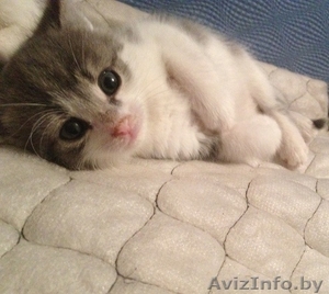 Эти две очаровательные крохи ищут маму! #978491