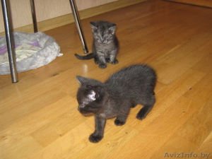 Если кому-то нужен позитив! #968413