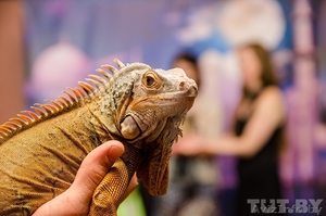 Артисты оригинальных жанров #977914