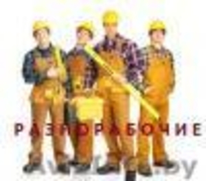 предлогаем услуги разнорабочих и грузчиков. #978978